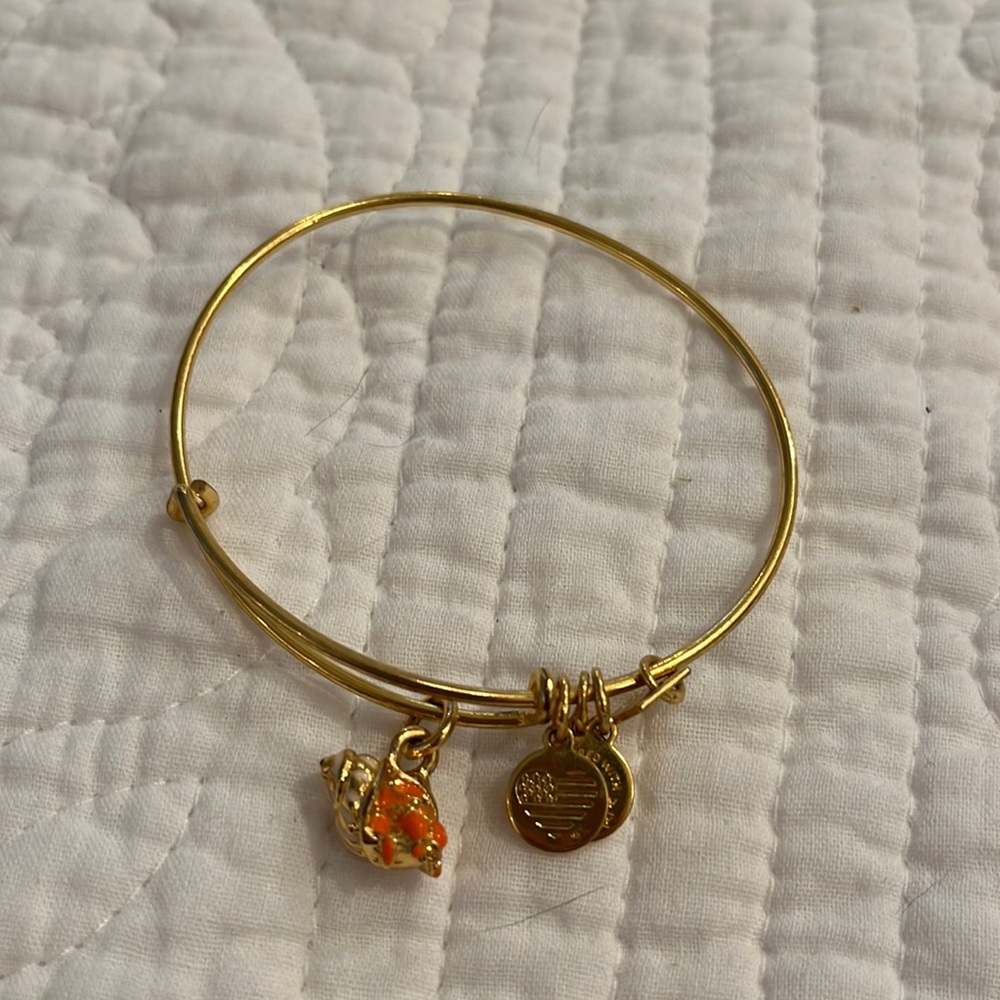Alex and Ani bracelet